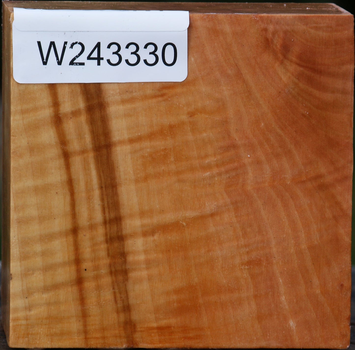 Extra Fancy Swiss Pear Bowl Blank