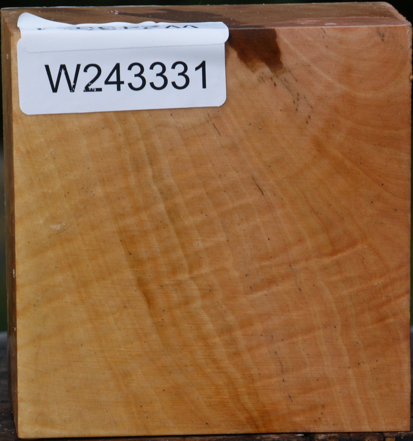 Extra Fancy Swiss Pear Bowl Blank