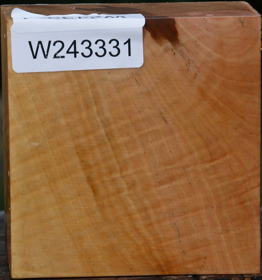 Extra Fancy Swiss Pear Bowl Blank