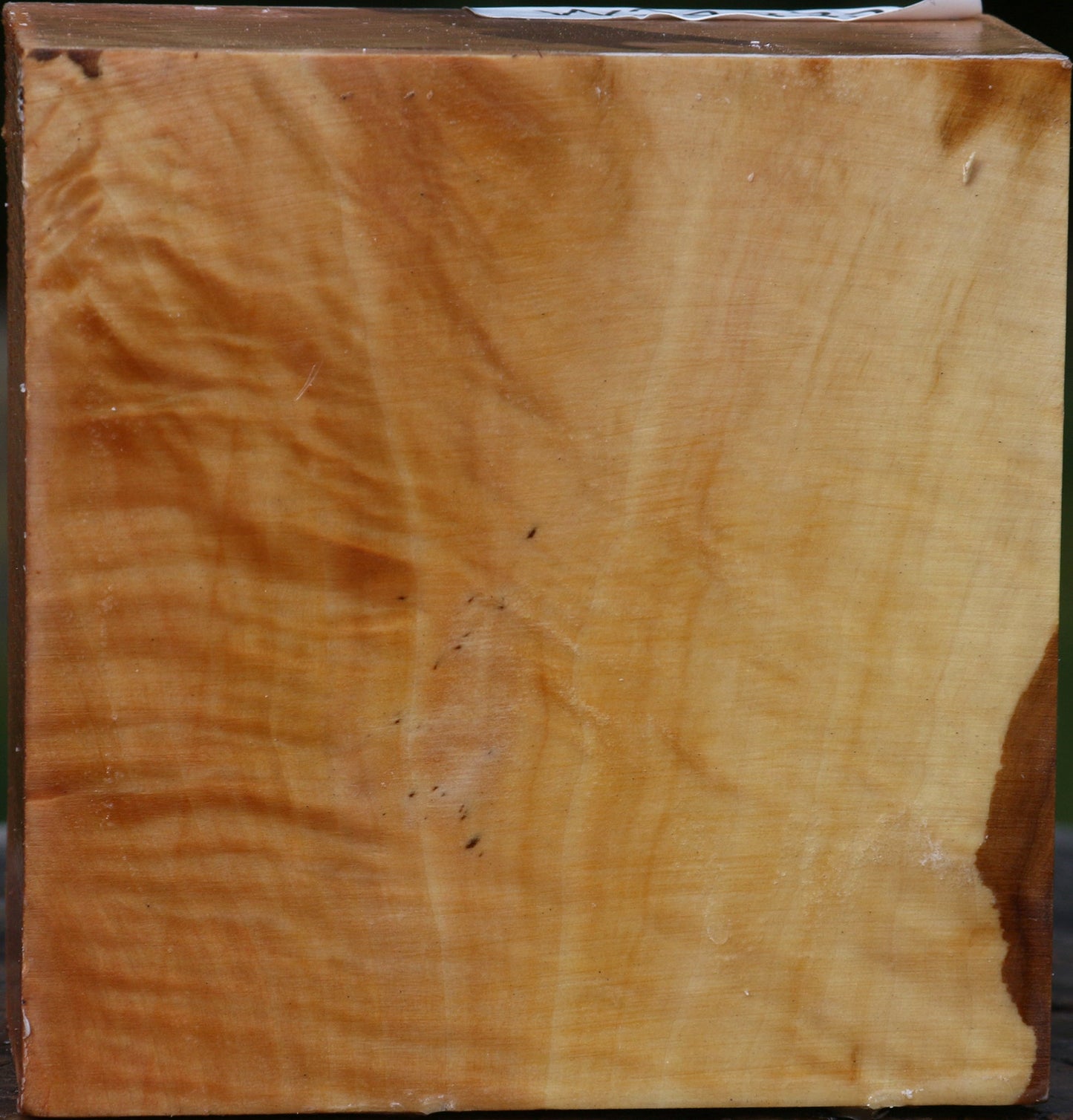 Extra Fancy Swiss Pear Bowl Blank