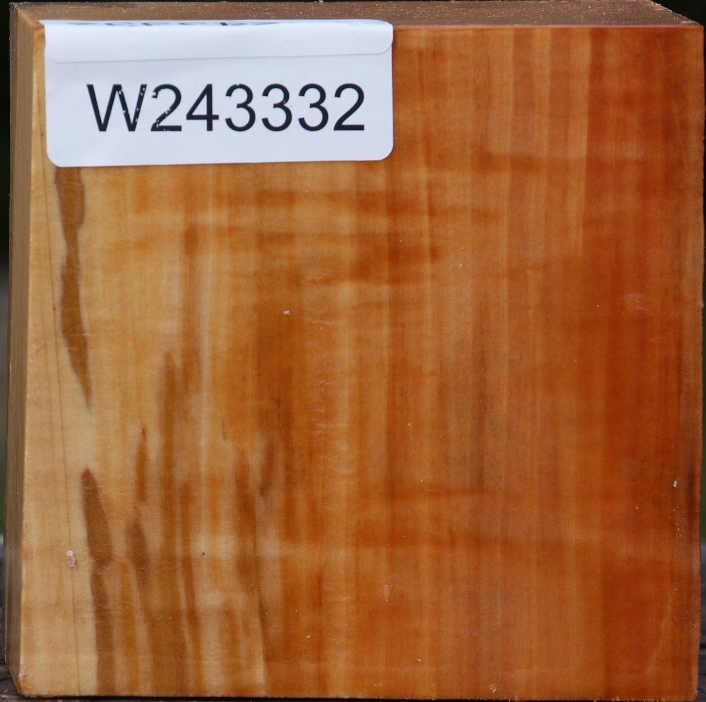 Figured Swiss Pear Bowl Blank