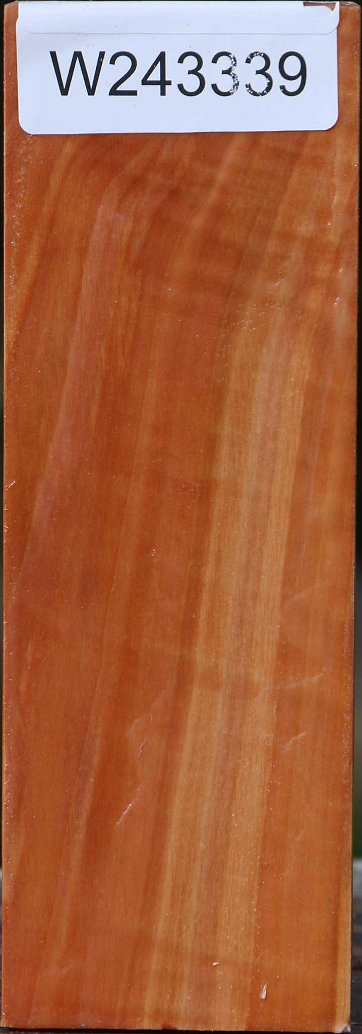 Figured Swiss Pear Turning Square