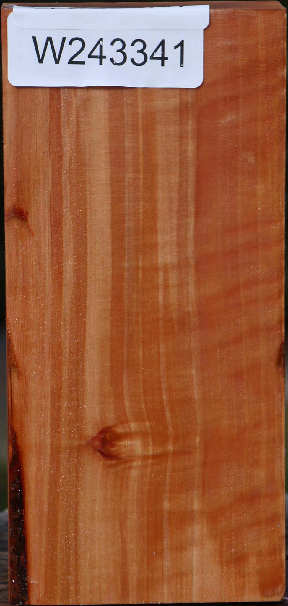 Figured Swiss Pear Turning Square