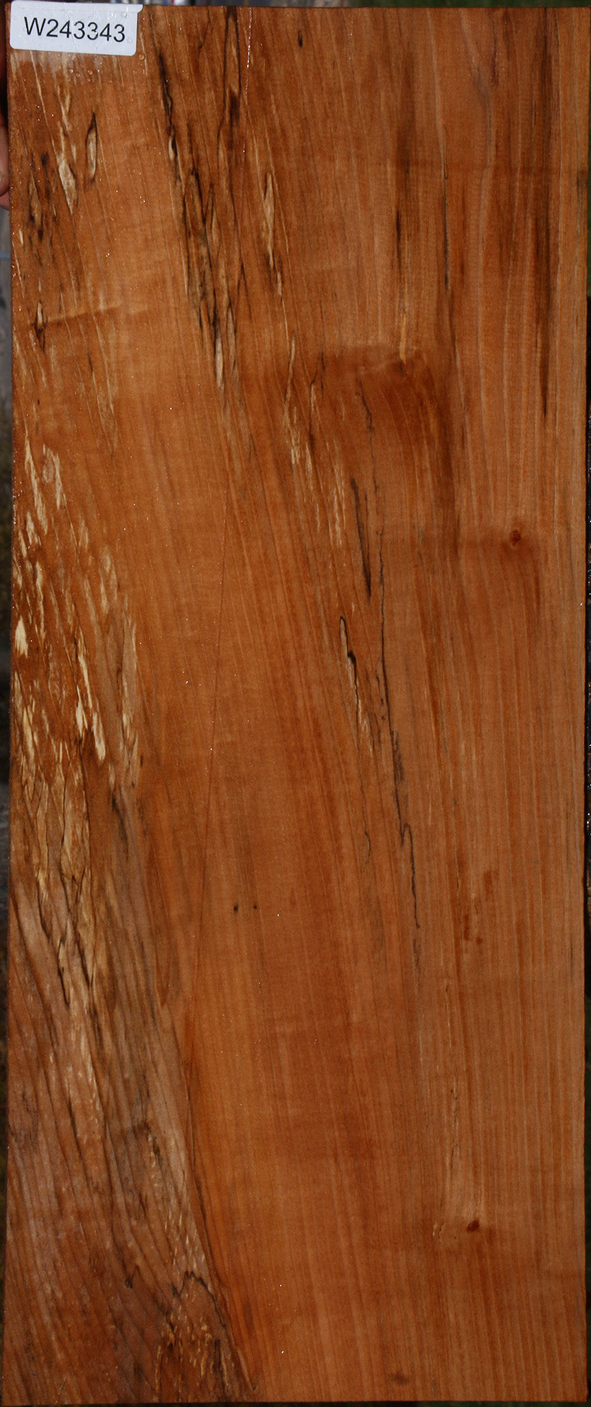 Figured Spalted Maple Lumber