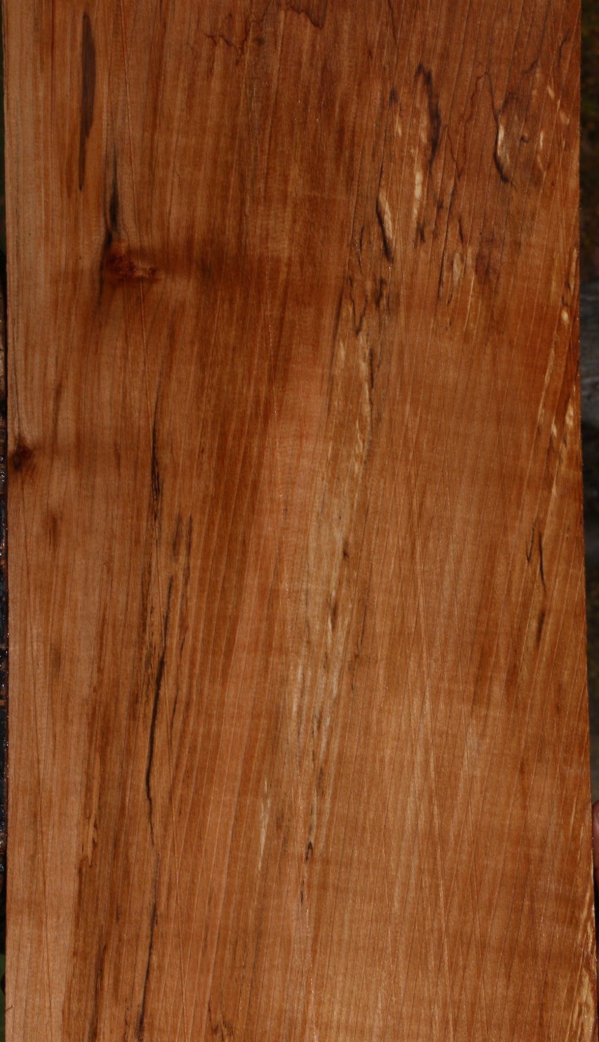 Figured Spalted Maple Lumber