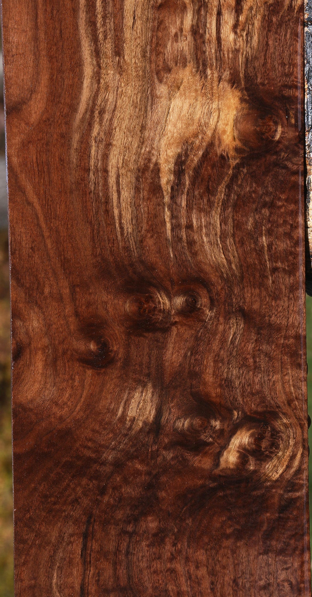 Extra Fancy Claro Walnut Lumber