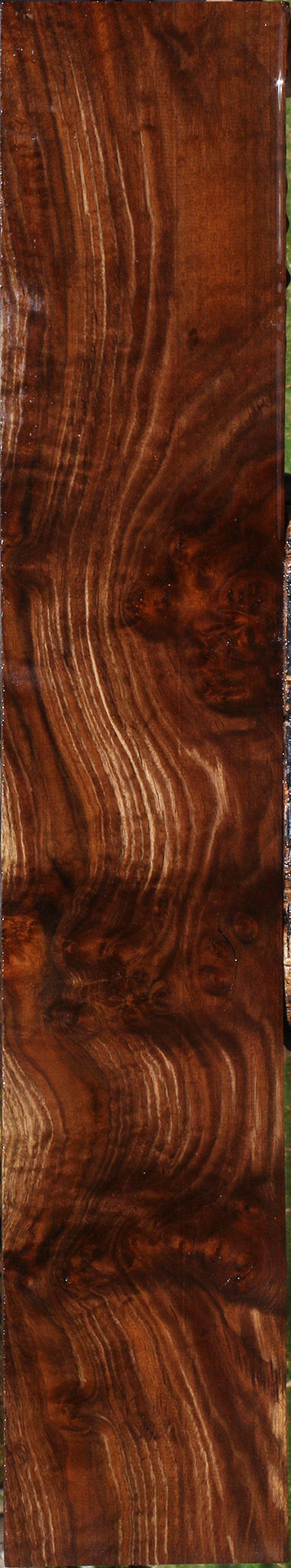 Claro Walnut Burl Lumber