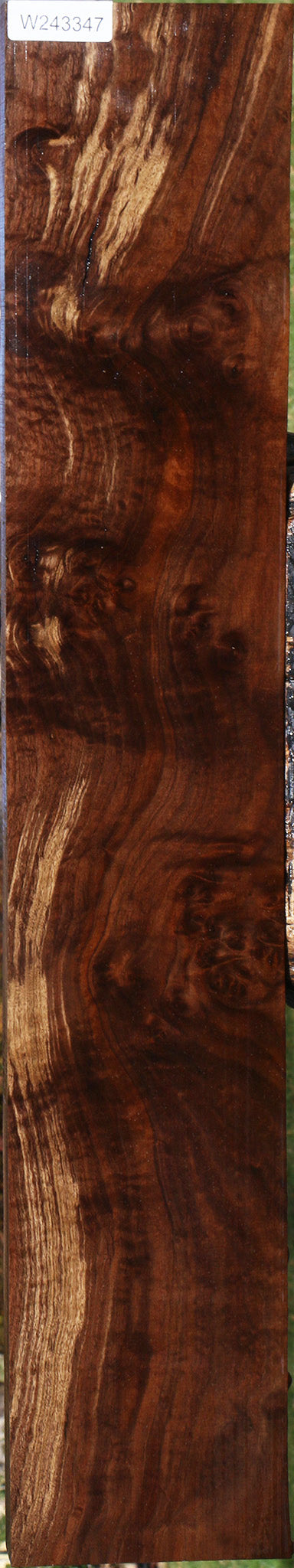 Claro Walnut Burl Lumber
