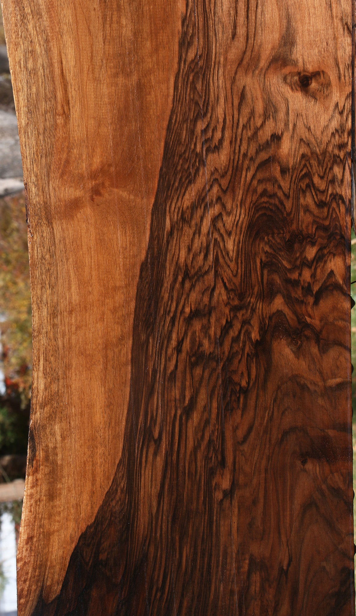 English Walnut Lumber