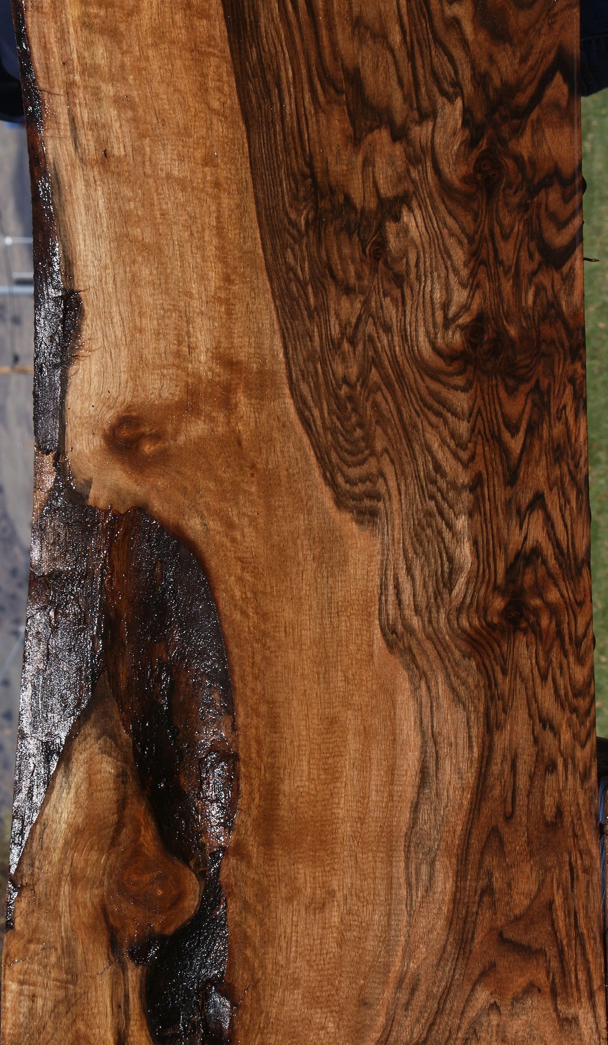English Walnut Lumber