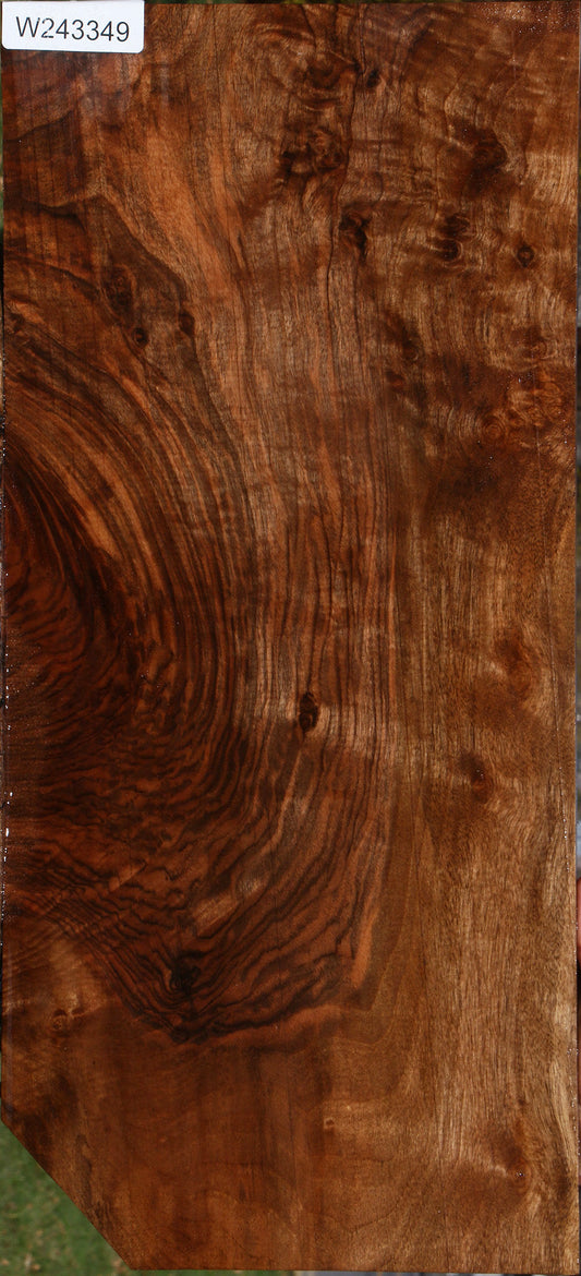 English Walnut Instrument Lumber