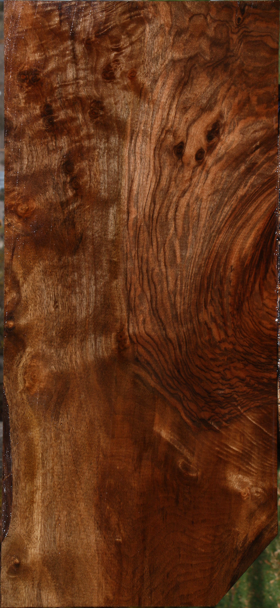 English Walnut Instrument Lumber