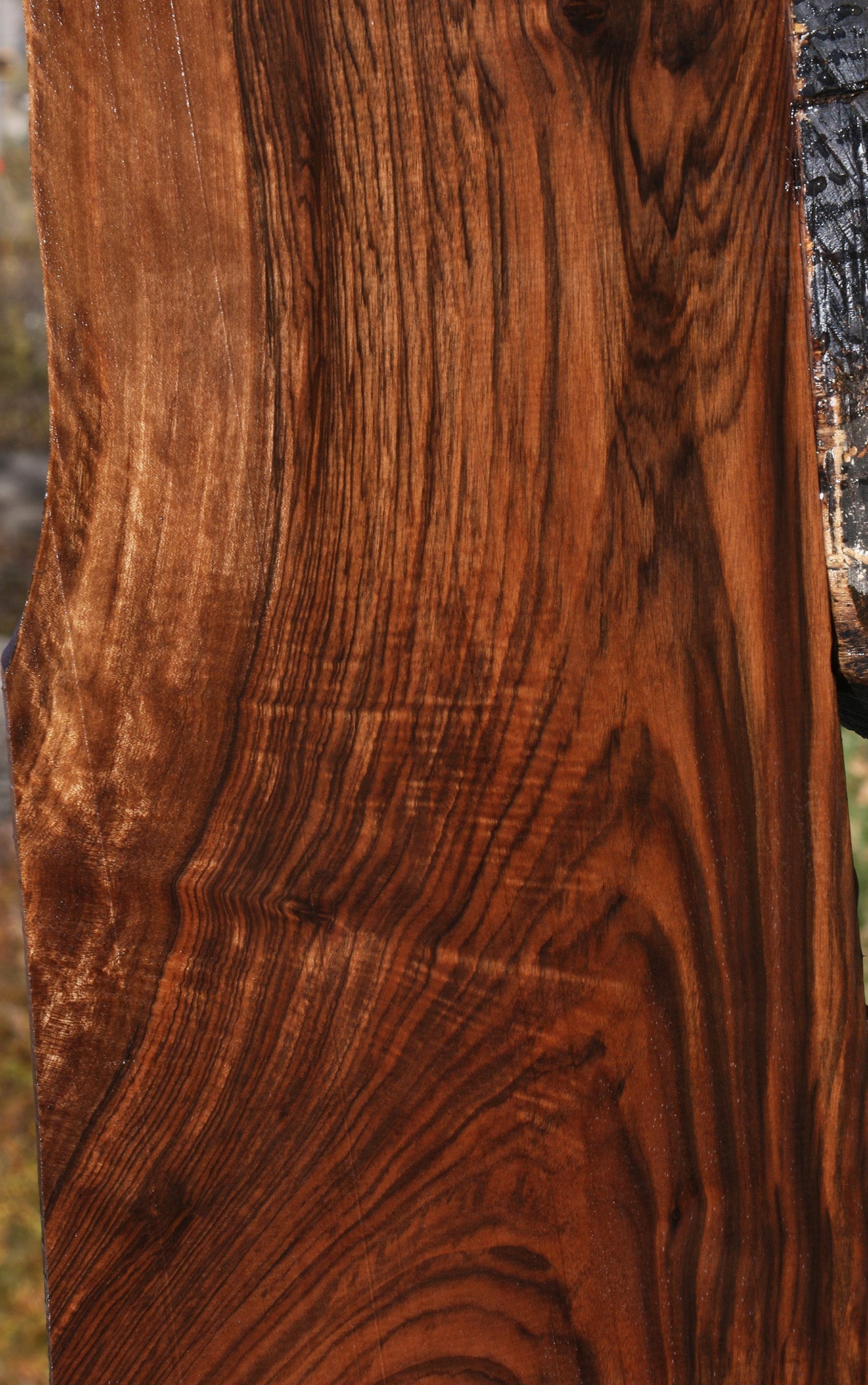 Extra Fancy English Walnut Lumber