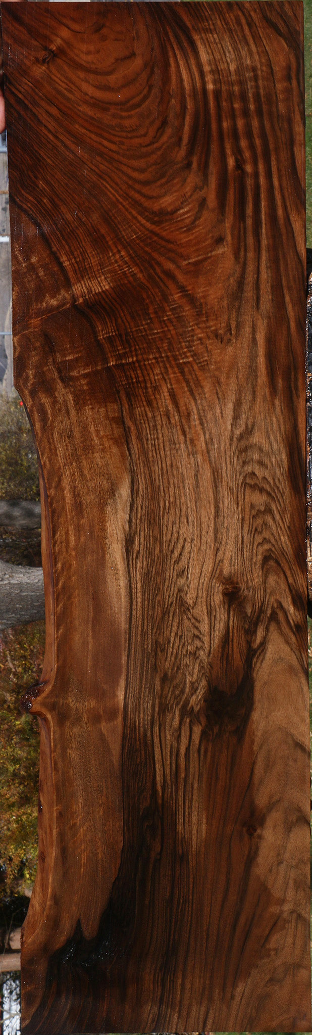 Extra Fancy English Walnut Lumber