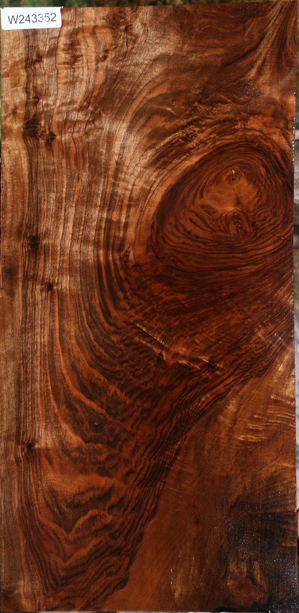Extra Fancy English Walnut Lumber