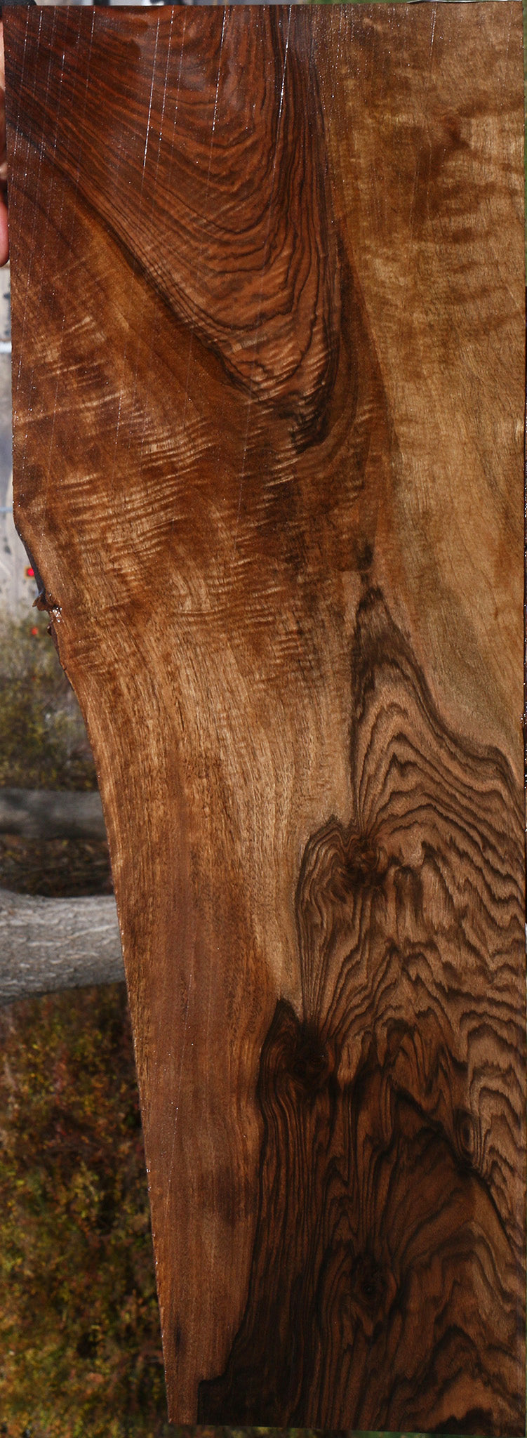Extra Fancy English Walnut Lumber