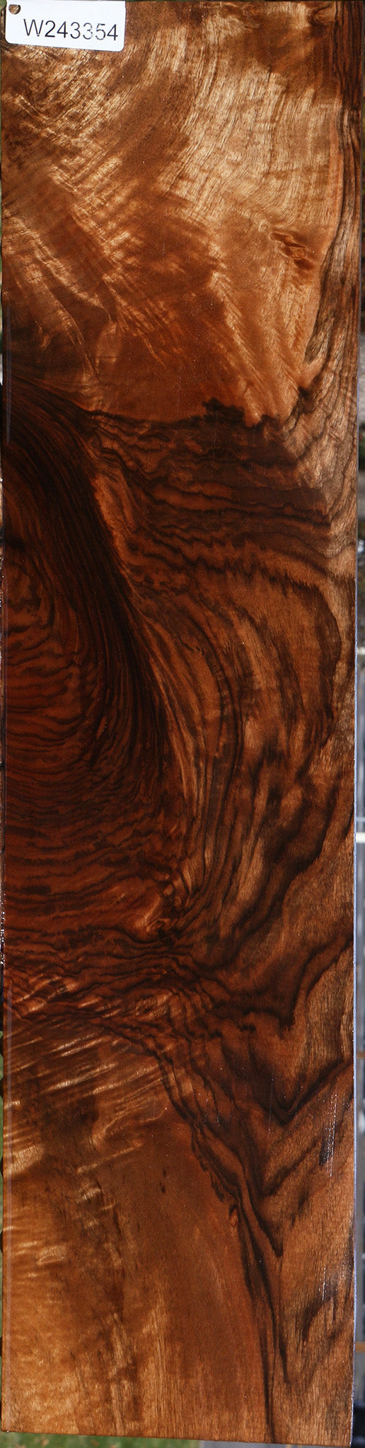 Exhibition English Walnut Instrument Lumber