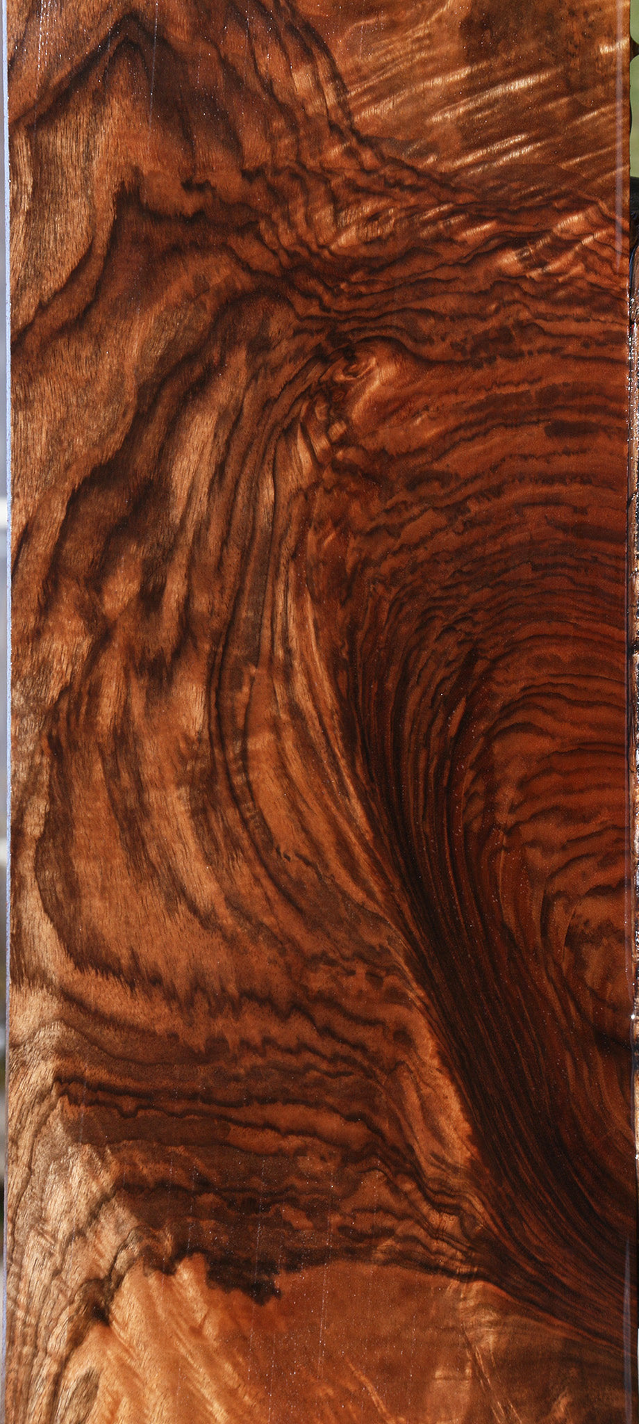 Exhibition English Walnut Instrument Lumber