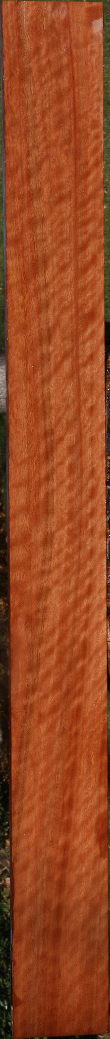 Extra Fancy Red Gum Lumber