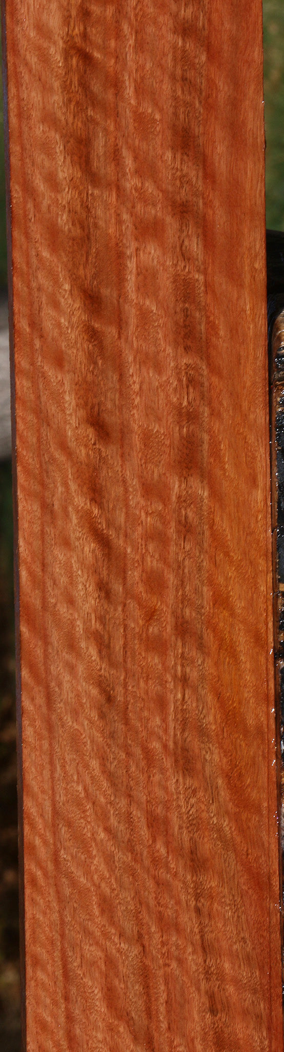 Extra Fancy Red Gum Lumber
