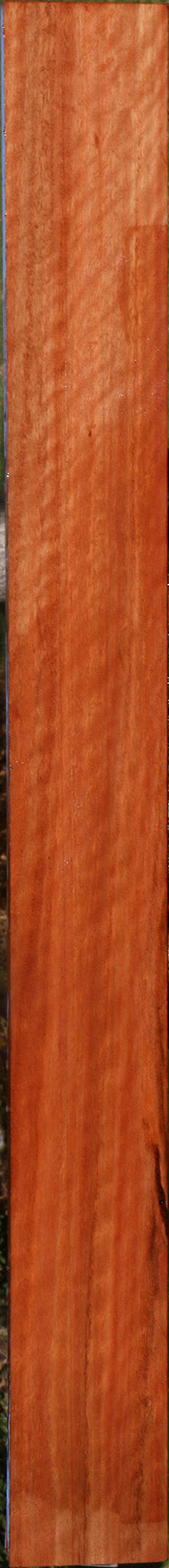 Extra Fancy Red Gum Lumber