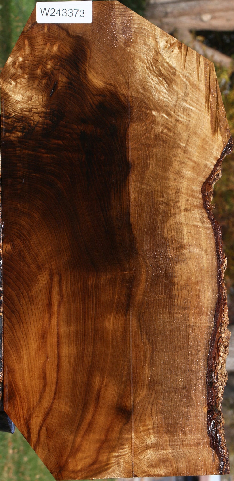 Extra Fancy Myrtle Live Edge Lumber