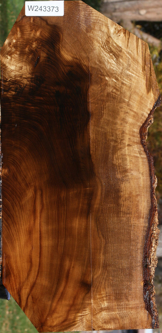 Extra Fancy Myrtle Live Edge Lumber