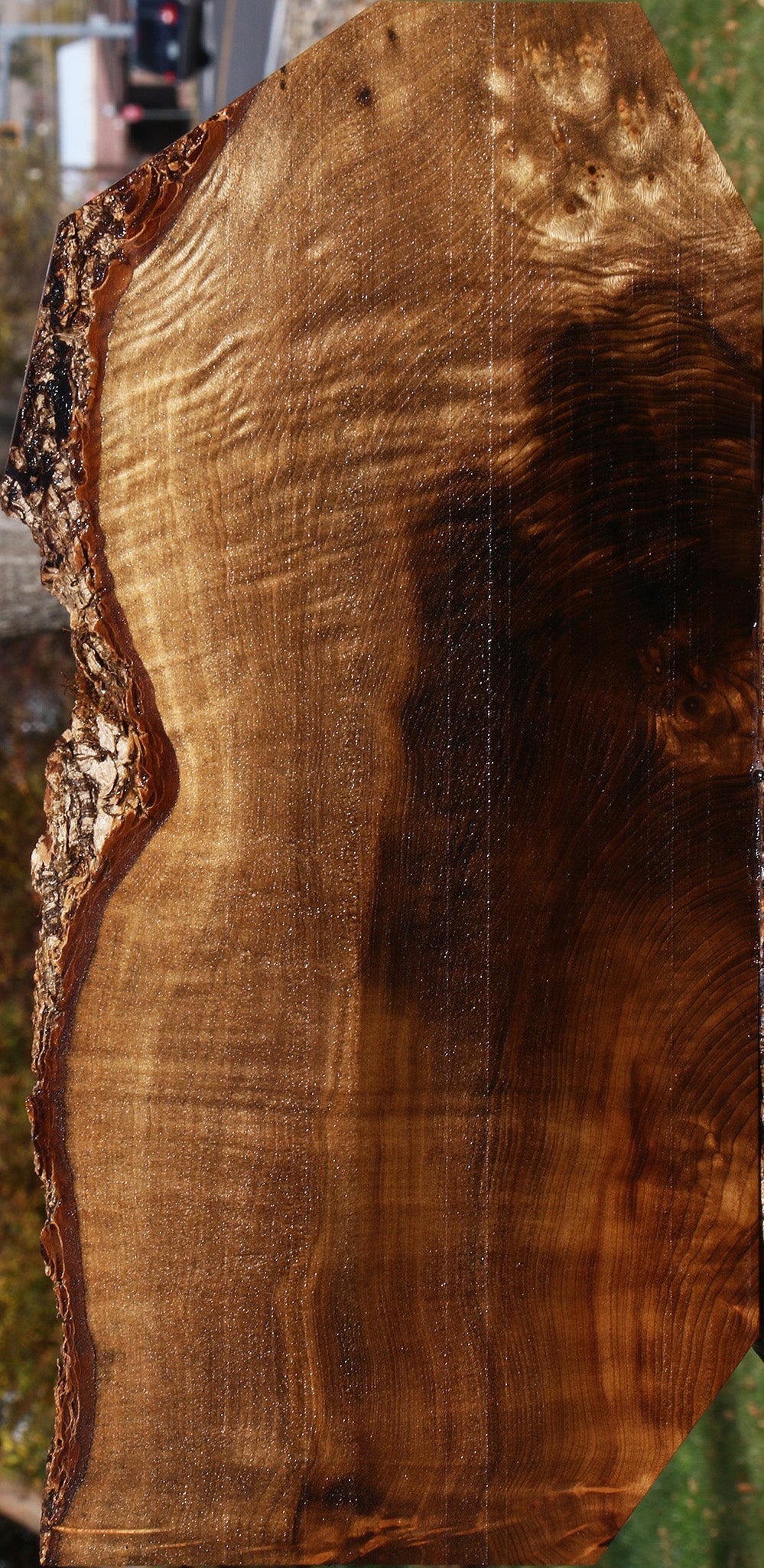 Extra Fancy Myrtle Live Edge Lumber