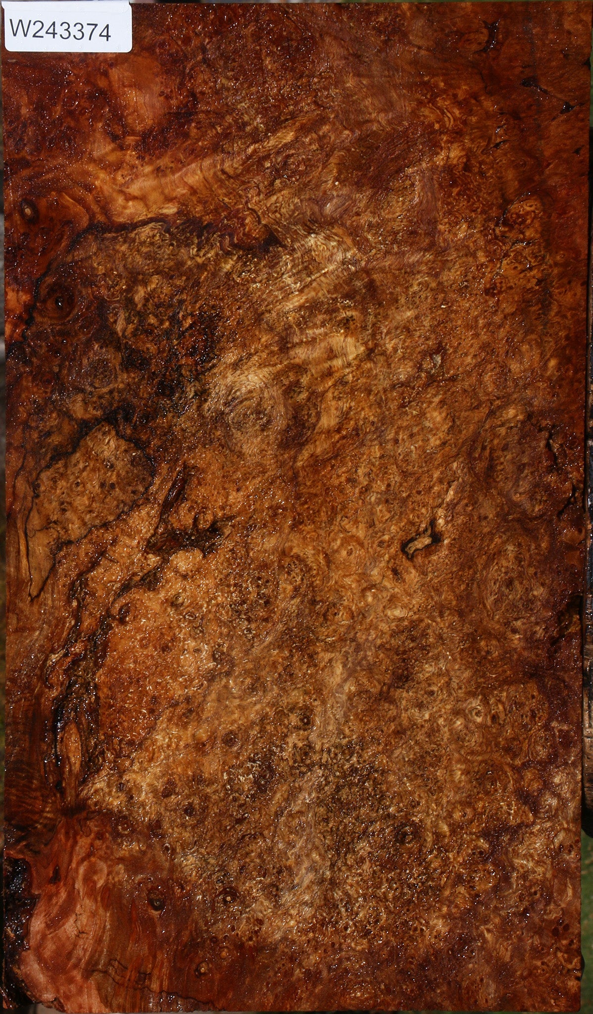 Spalted Maple Burl Lumber