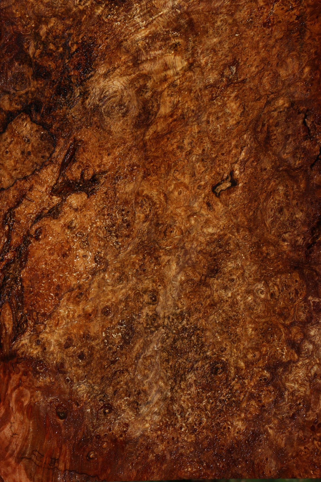 Spalted Maple Burl Lumber