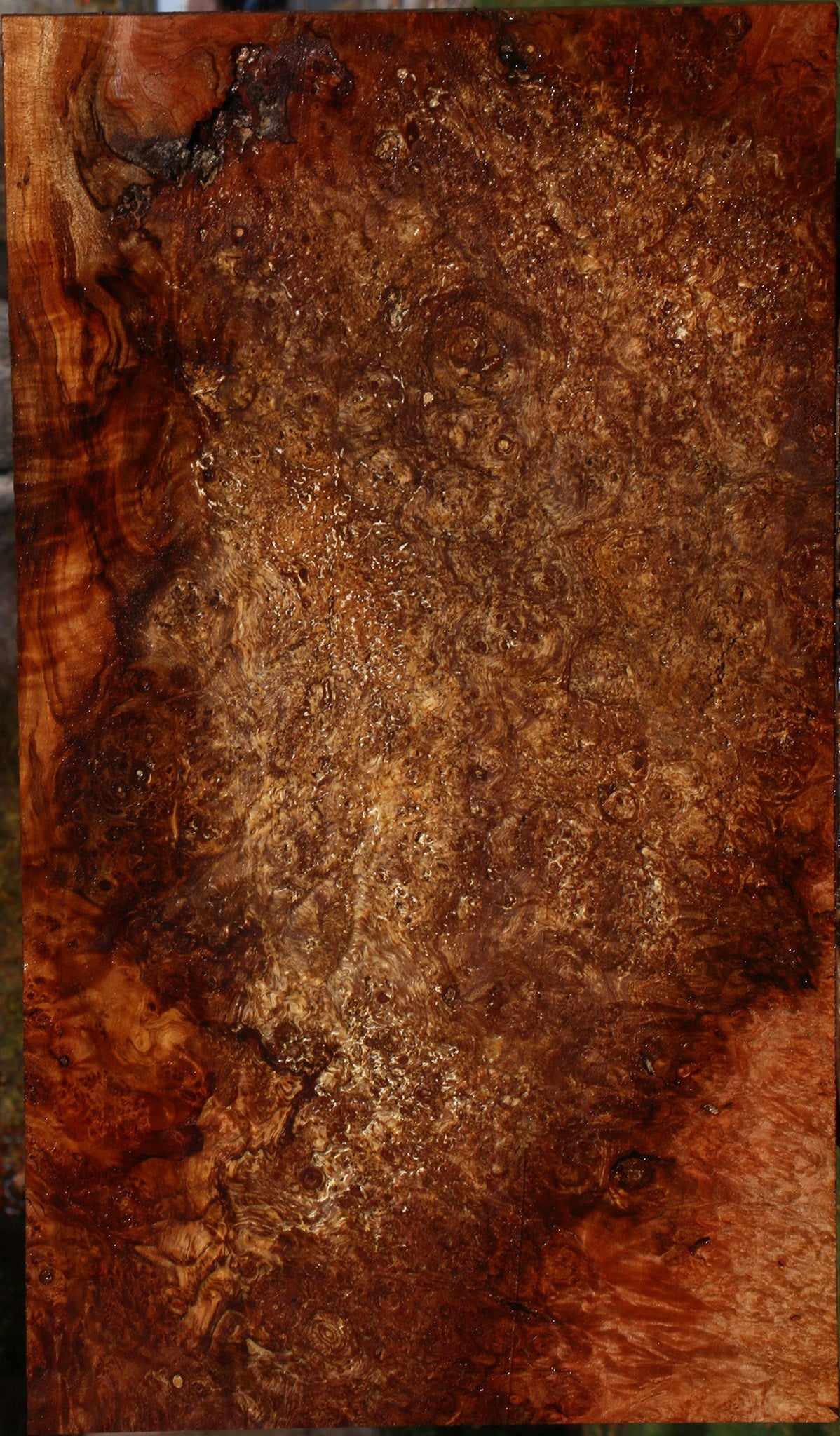 Spalted Maple Burl Lumber