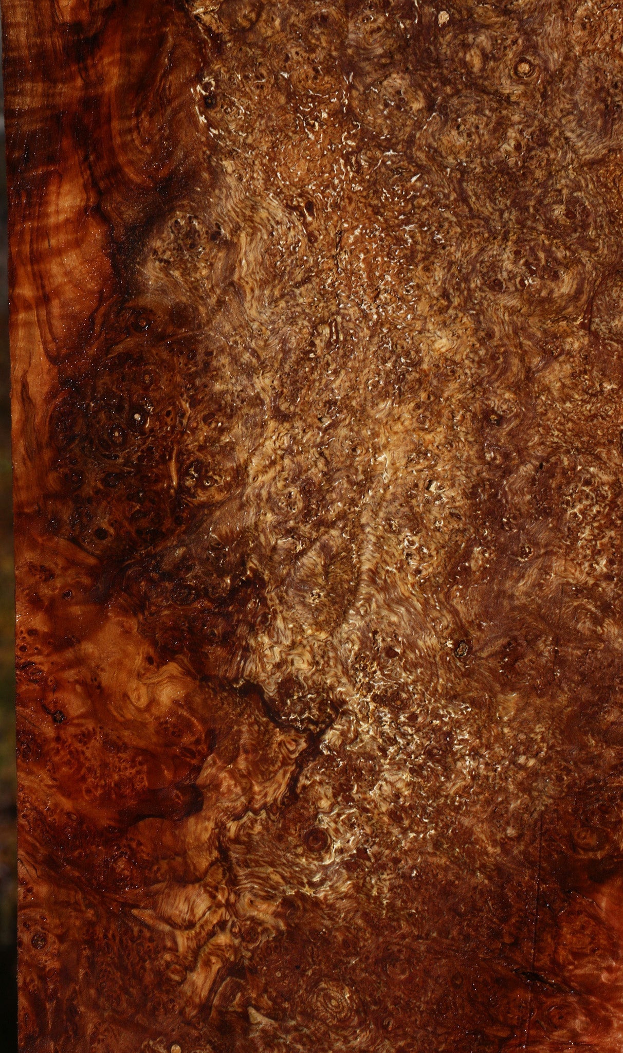 Spalted Maple Burl Lumber
