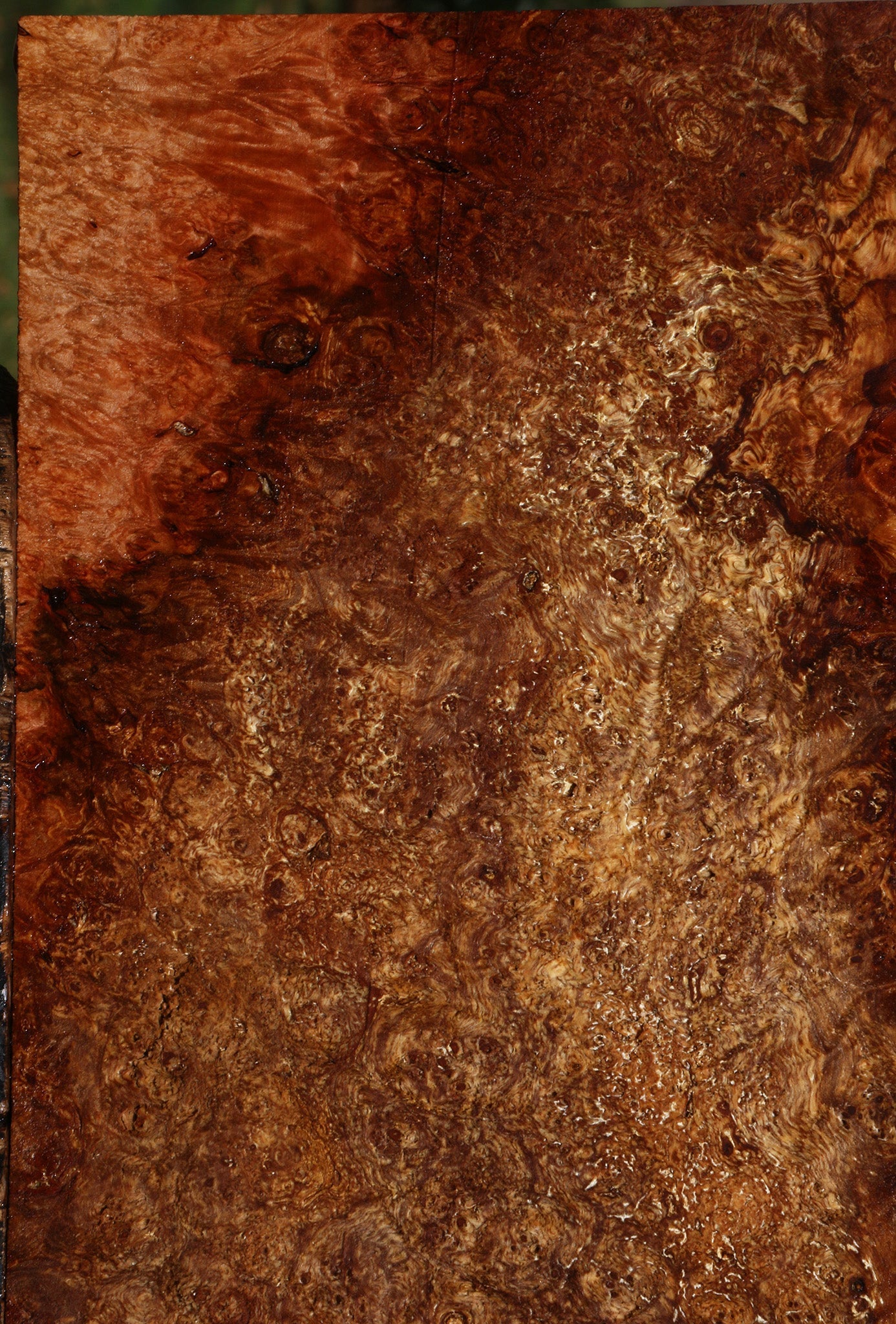 Spalted Maple Burl Lumber