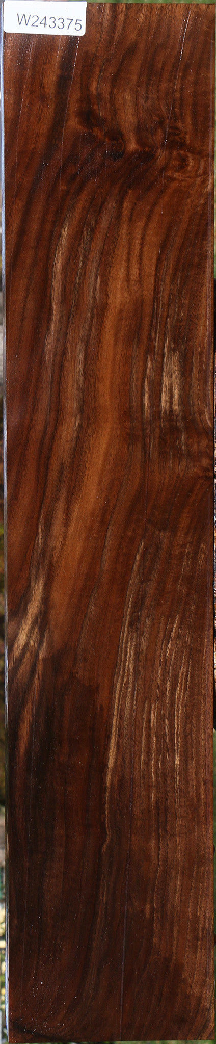 Claro Walnut Lumber