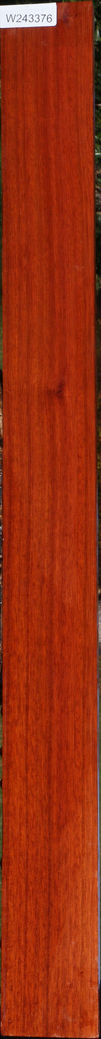 Bloodwood Lumber