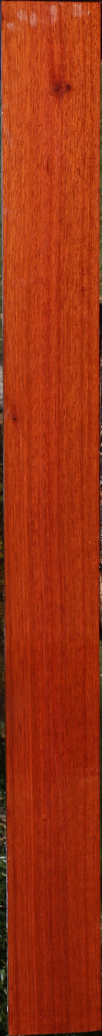 Bloodwood Lumber