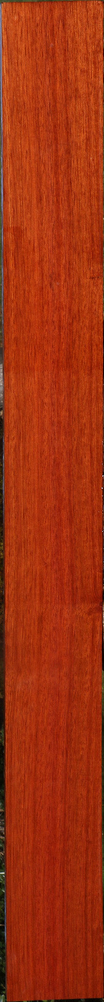 Bloodwood Lumber