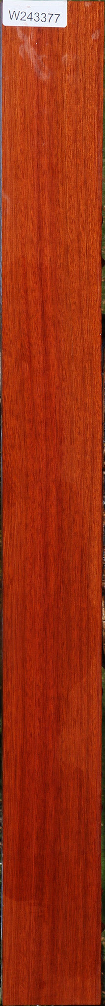 Bloodwood Lumber