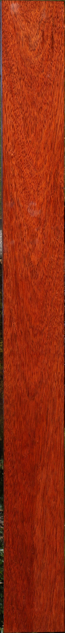 Bloodwood Lumber