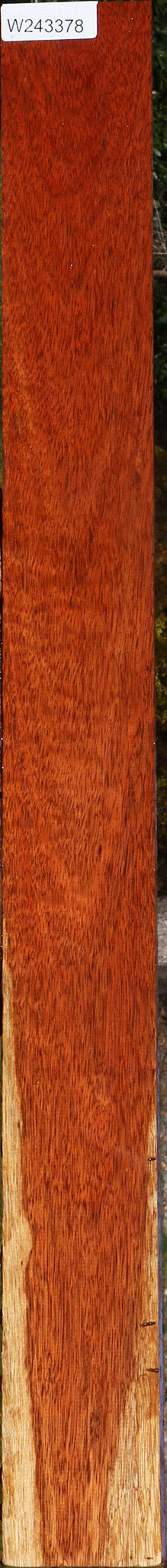 Bloodwood Lumber