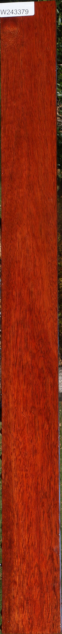 Bloodwood Lumber