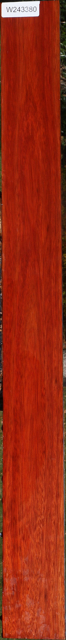 Bloodwood Lumber