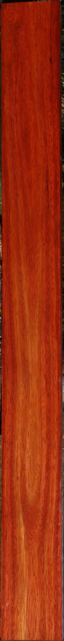 Bloodwood Lumber