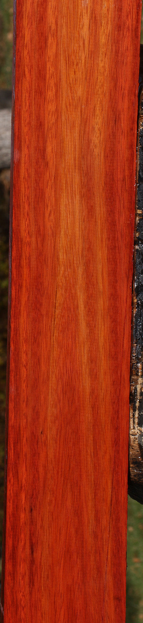 Bloodwood Lumber