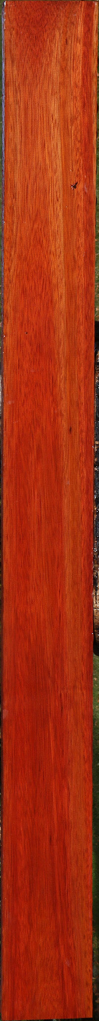 Bloodwood Lumber