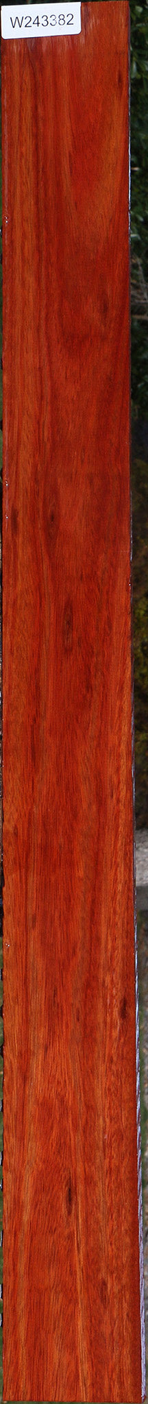 Bloodwood Lumber