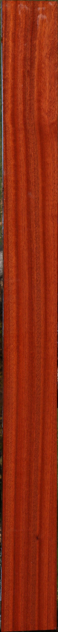 Figured Quartersawn Bloodwood Instrument Lumber