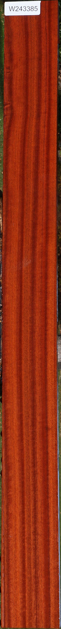 Figured Quartersawn Bloodwood Instrument Lumber