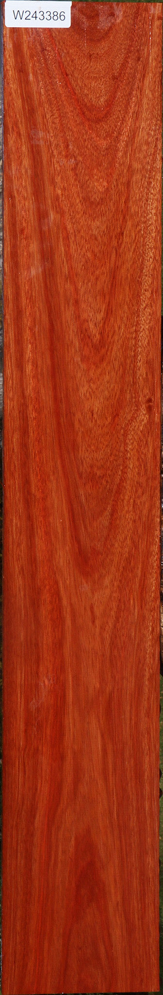 Bloodwood Lumber