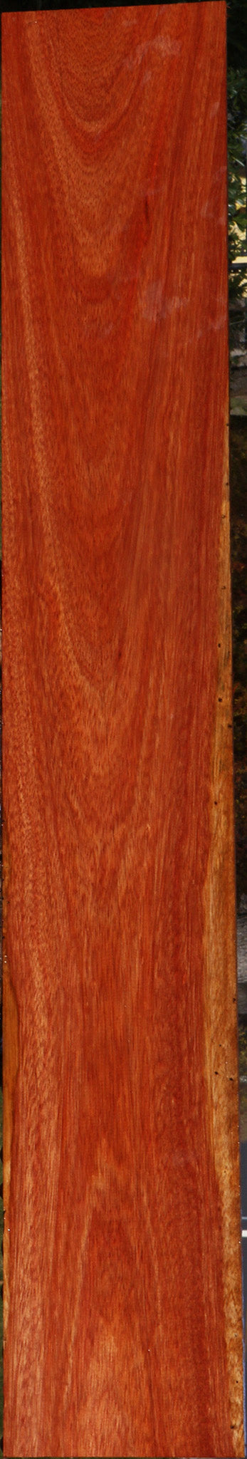 Bloodwood Lumber
